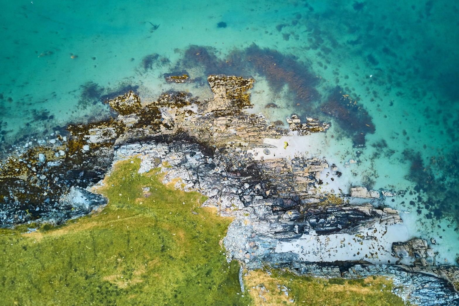 Aerial view of a green and rocky Irish coastline